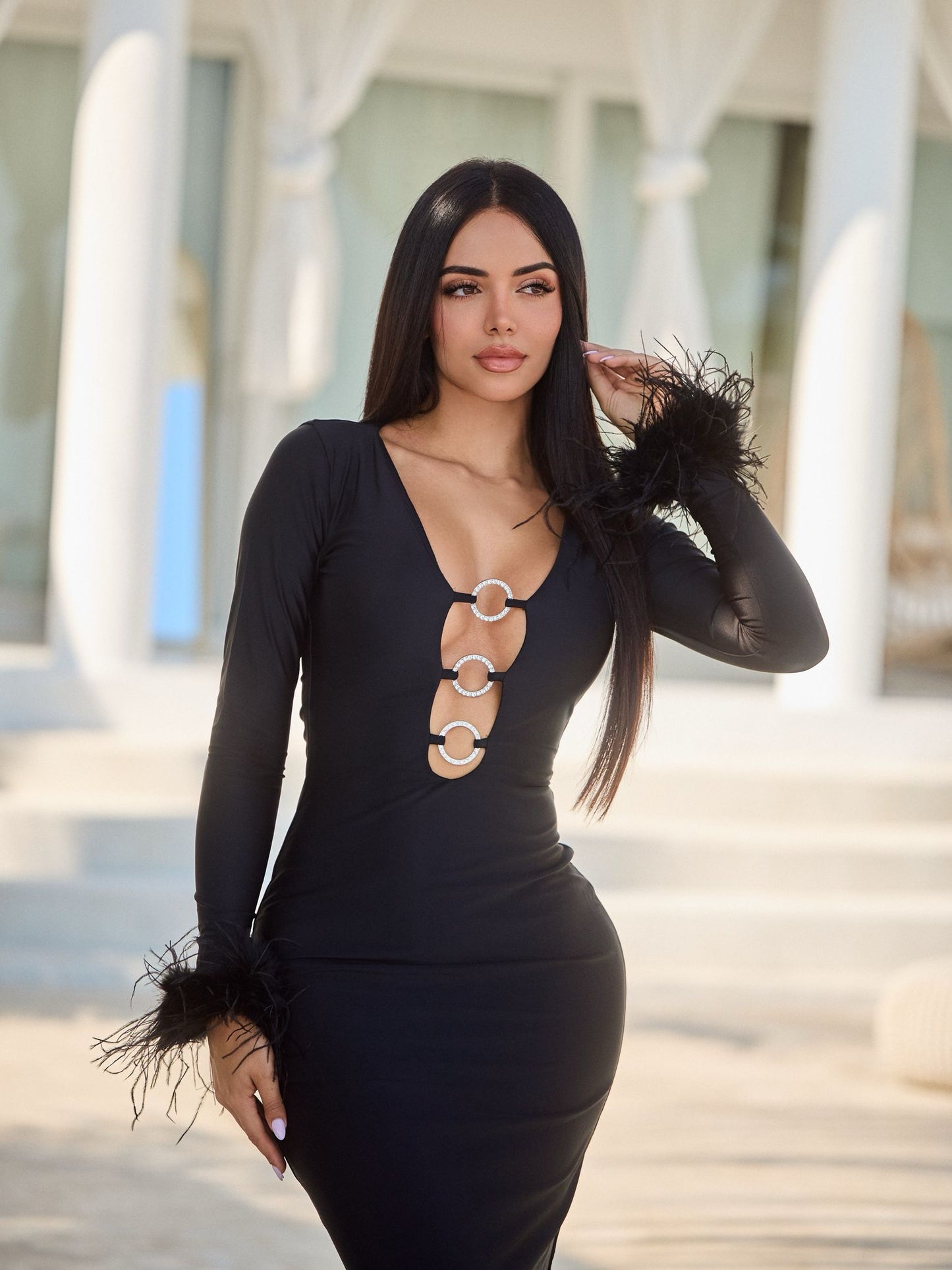 Black Ostrich Feather Long Sleeve Beach Dress